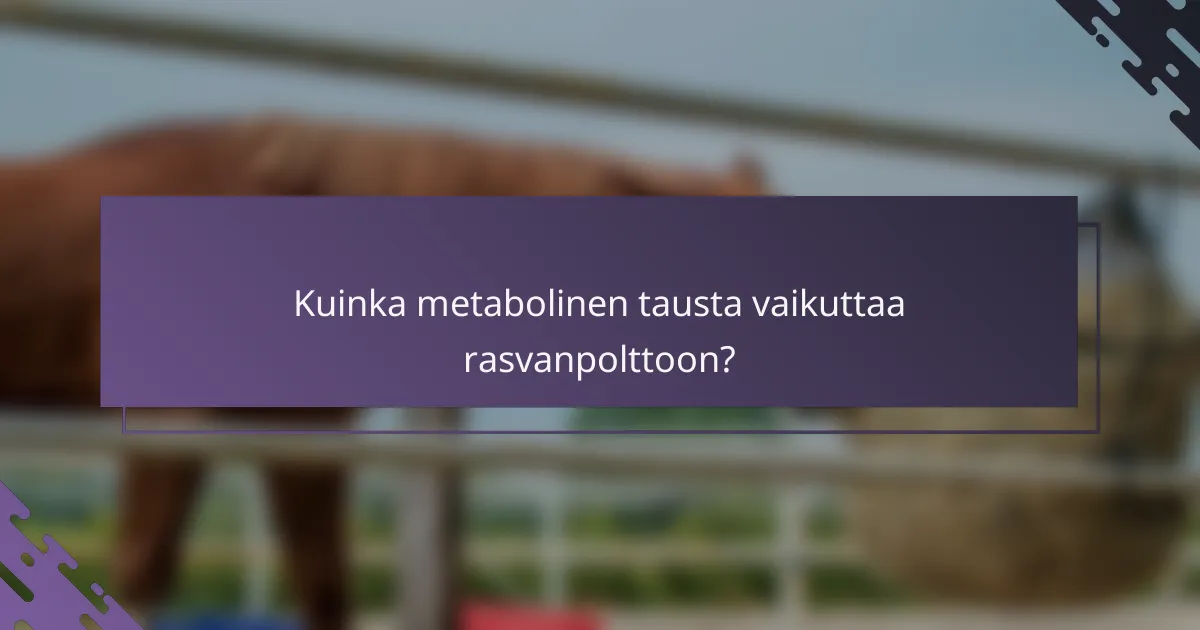Kuinka metabolinen tausta vaikuttaa rasvanpolttoon?