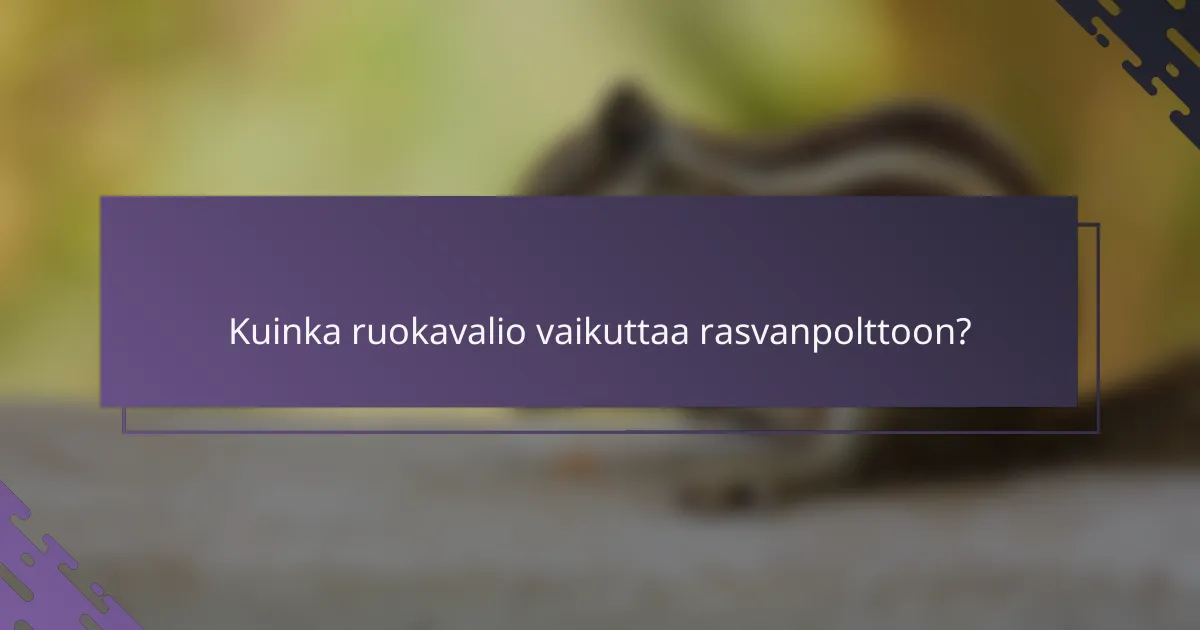 Kuinka ruokavalio vaikuttaa rasvanpolttoon?
