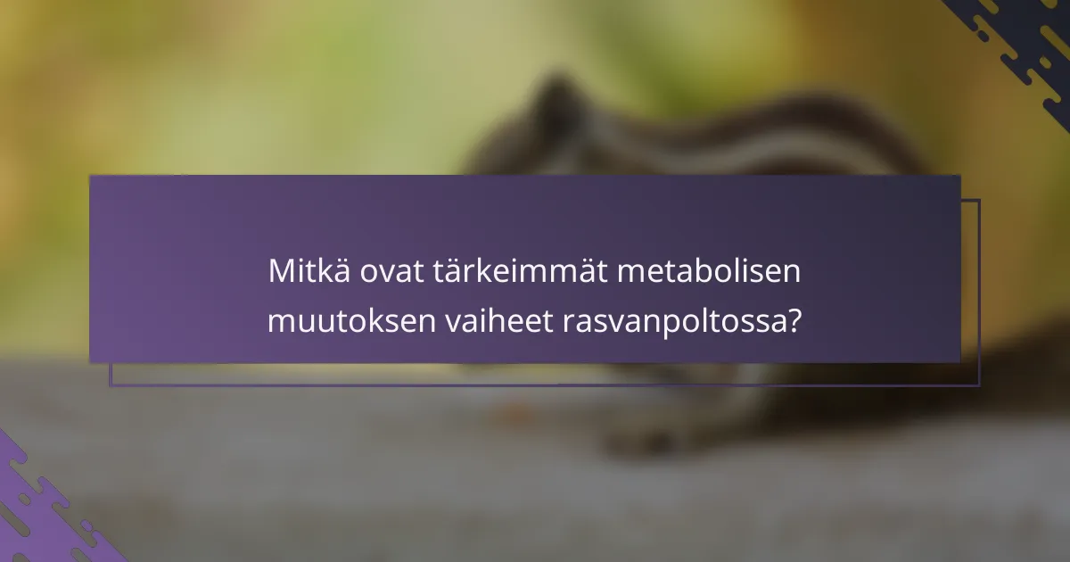 Mitkä ovat tärkeimmät metabolisen muutoksen vaiheet rasvanpoltossa?