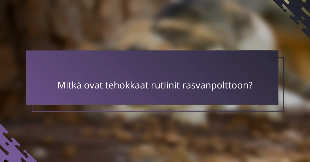 Mitkä ovat tehokkaat rutiinit rasvanpolttoon?